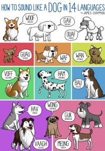 Decoding What Sound Does A Dog Make In Words